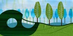 Sticky tape from wood scraps, the science behind adhesives reimagined