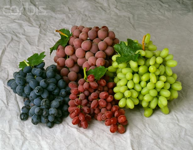 Grapes