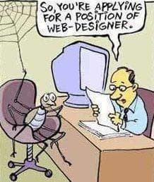 web-designer