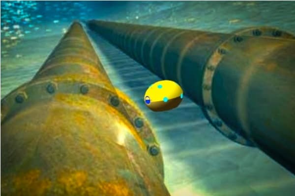 MIT Underwater Robot  (2)