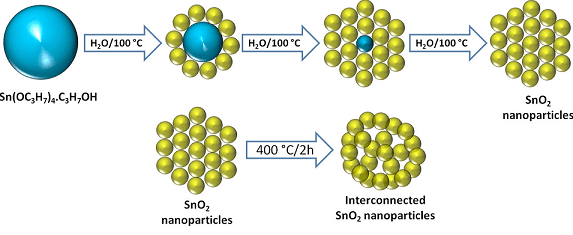 Nanopartoicles