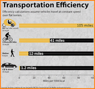 organic-transit-ELF-Transportation-Efficiency