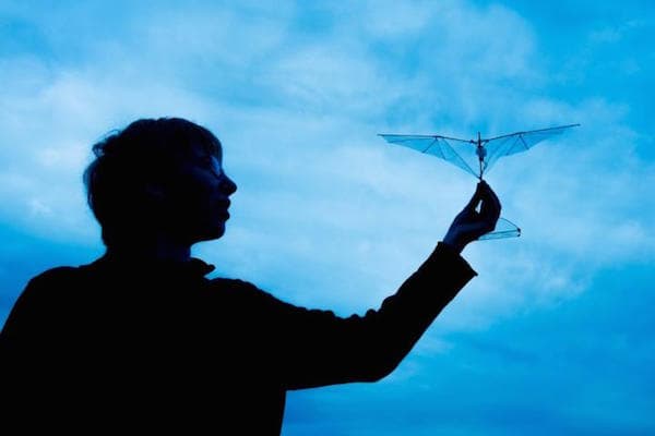 morphing-wings-bot-bird-lentink-lab-stanford-university