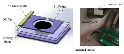 Dielectric-elastomers-joint