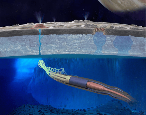 NASA-Robotic-Eel-Space