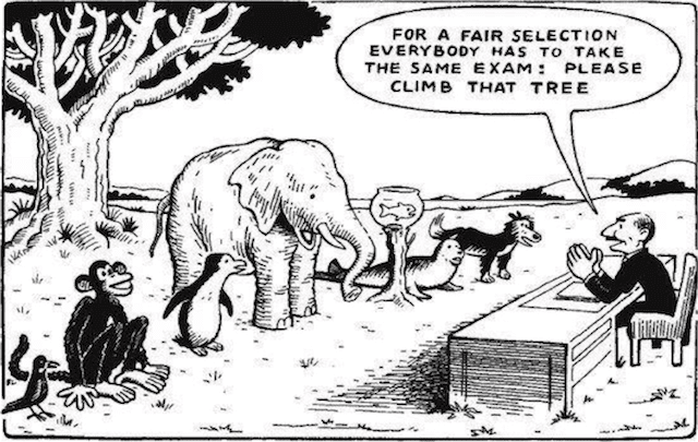 Our-Education-System