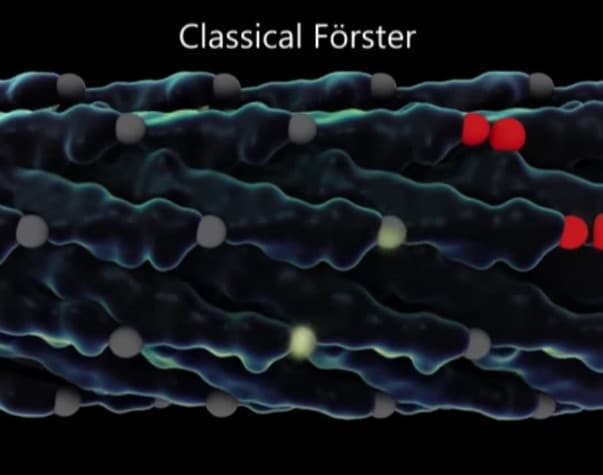 genetically-modified-virus-solar-cell-efficiency