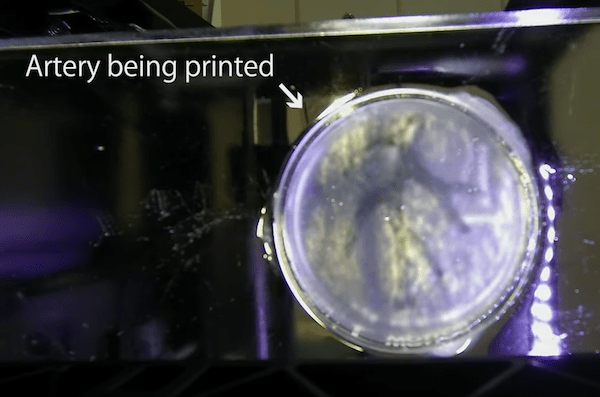 3d-bio-printing-organ-biomedical-engineers