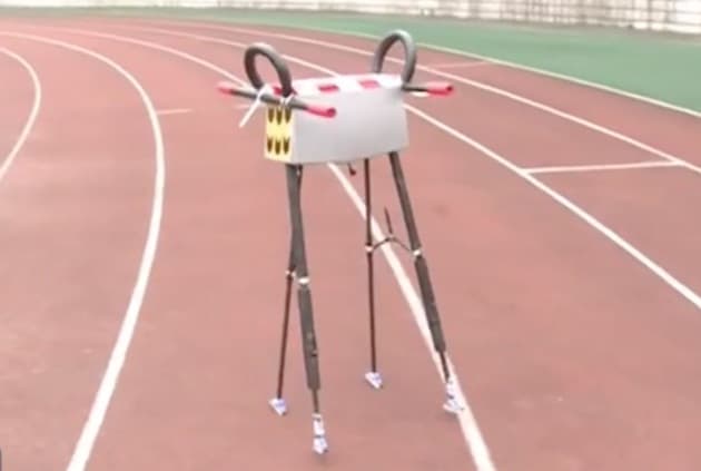 Walker-1-Robot-World-Record