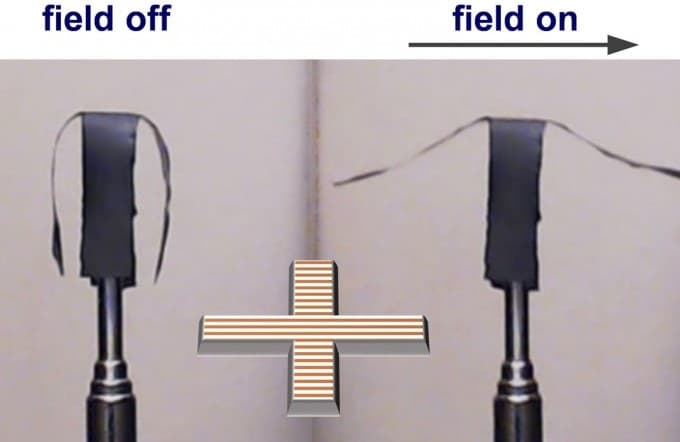 Magnetic-nanoparticle-chain