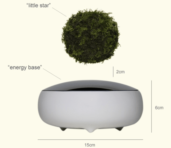 Air_bonsai