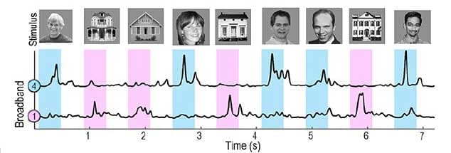 brain-waves-translated