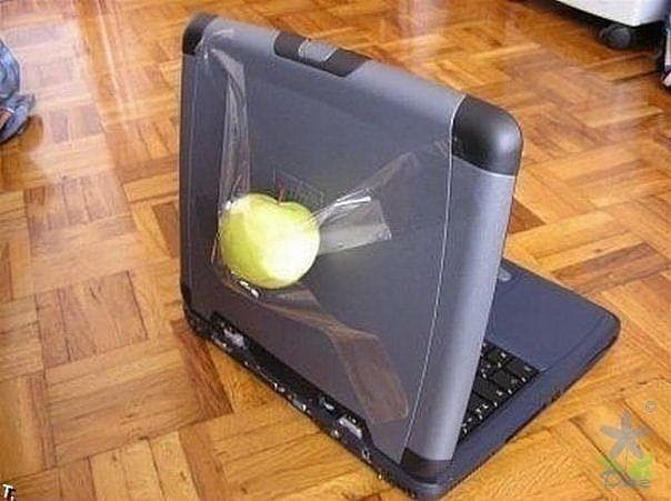 apple-fans