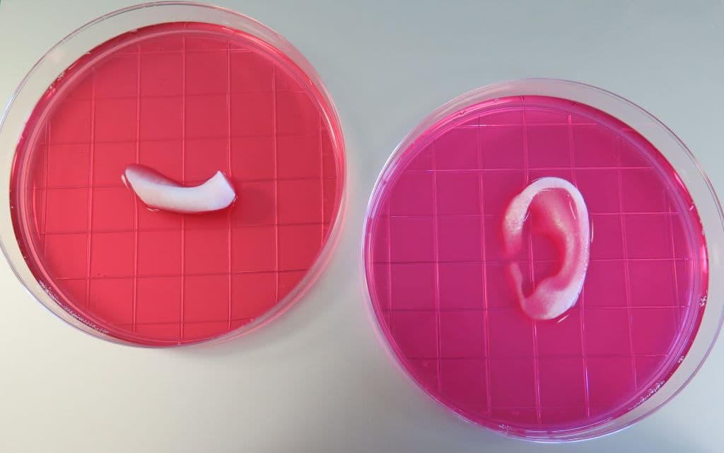 3D-printing-living-tissue