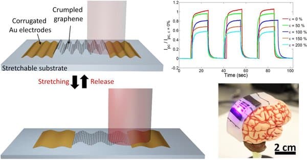 stretchable_photodetector