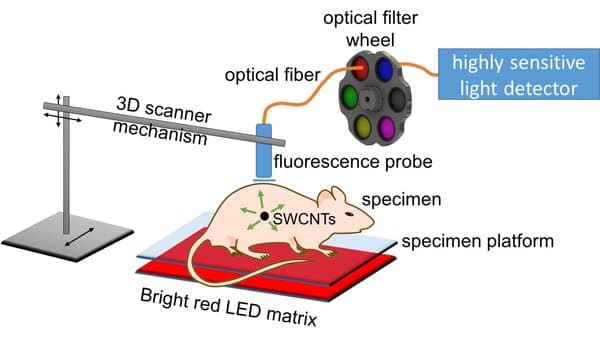 tumour_cell_detection_image_1