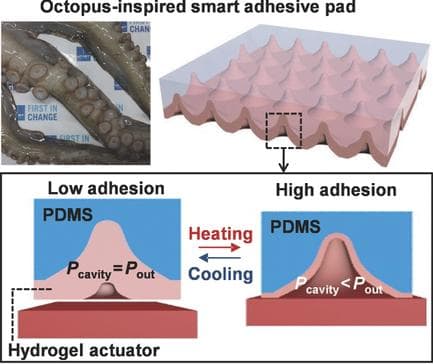 smart_adhesive_pads