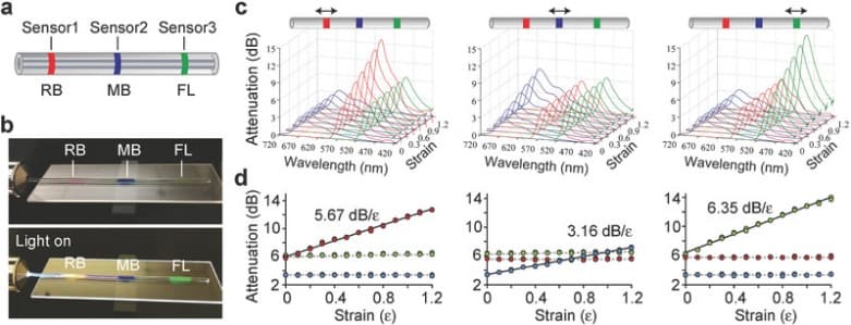 MIT_BioCompatible_Fiber_02