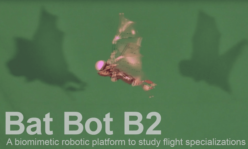 bat-bot-b2-caltech-1