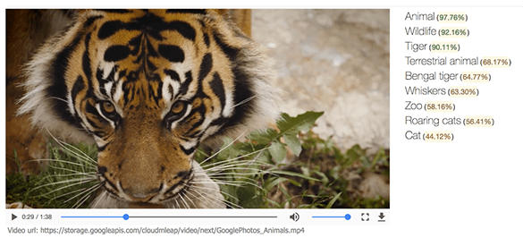 machine-learning-next-google-video-api