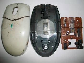 circuit_boards_mice