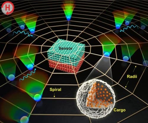 biosensor_platform