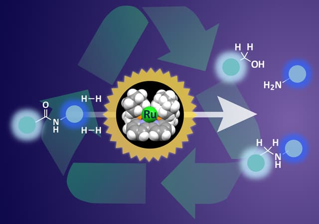 Ctalyses_reaction