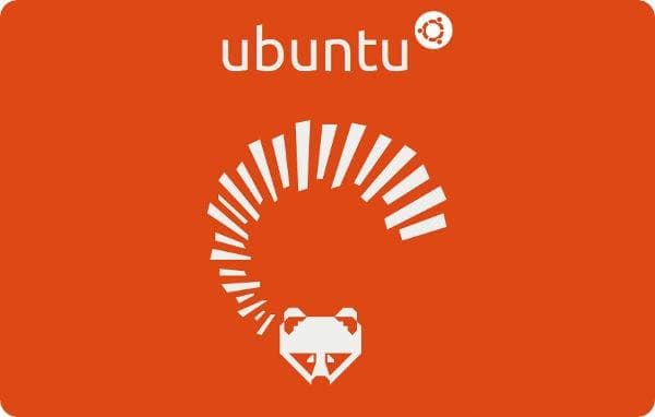 segreti-e-roadmap-di-ubuntu-1304-raring-ringt-L-Ppeus6