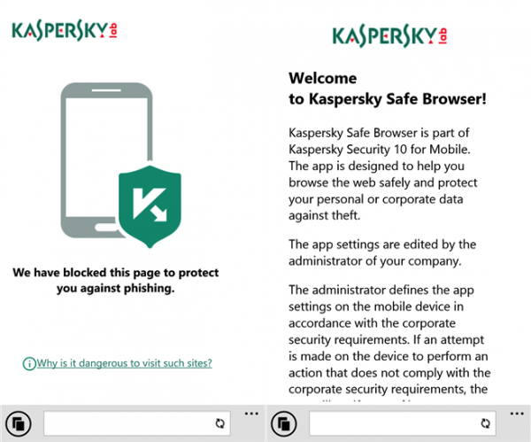 Kaspersky-Safe-Browser-1-600x499