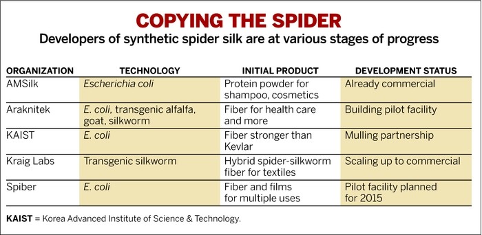 spider_silk_1